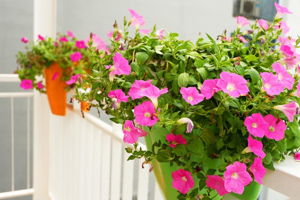 Apartamento Saigon Corner House Ciudad Ho Chi Minh  Exterior foto